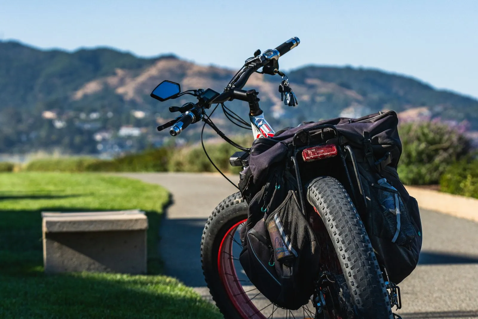 How to Choose an Adaptive E-Bike